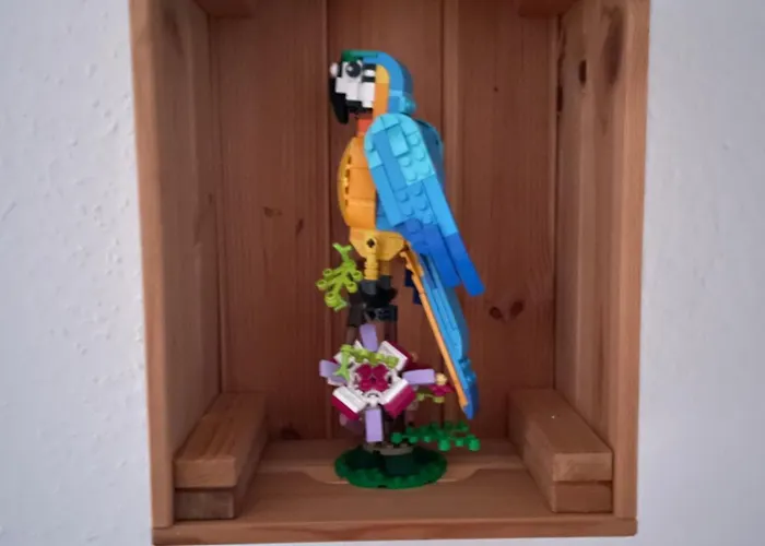 Gemuetliche 2-zimmer 50qm 公寓 Friedland (Lower Saxony)